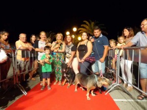 concorso