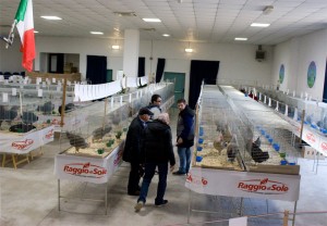fiera1