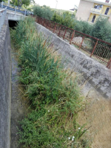 IMG-20170722-WA0012