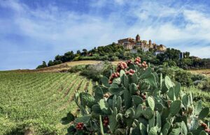Monteprandone scelto come “Borgo dei Borghi 2027” per le Marche